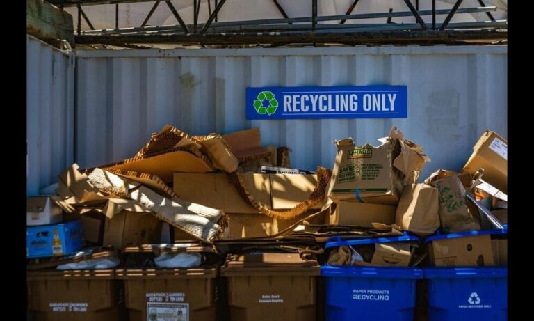 5 iniciativas con las que aplicar la economía circular en una empresa