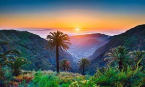 Más de 20 universidades de todo el mundo participarán en el Tenerife Global Summit 2024