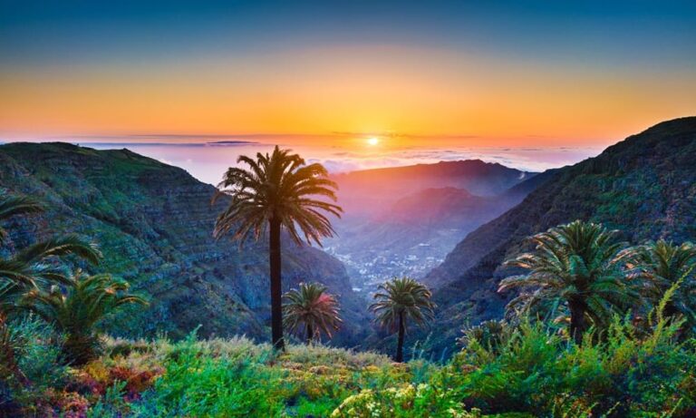 Más de 20 universidades de todo el mundo participarán en el Tenerife Global Summit 2024
