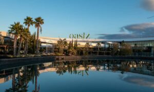 Oasiz