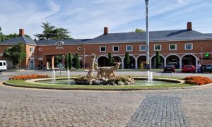 Subasta de casas en La Moraleja