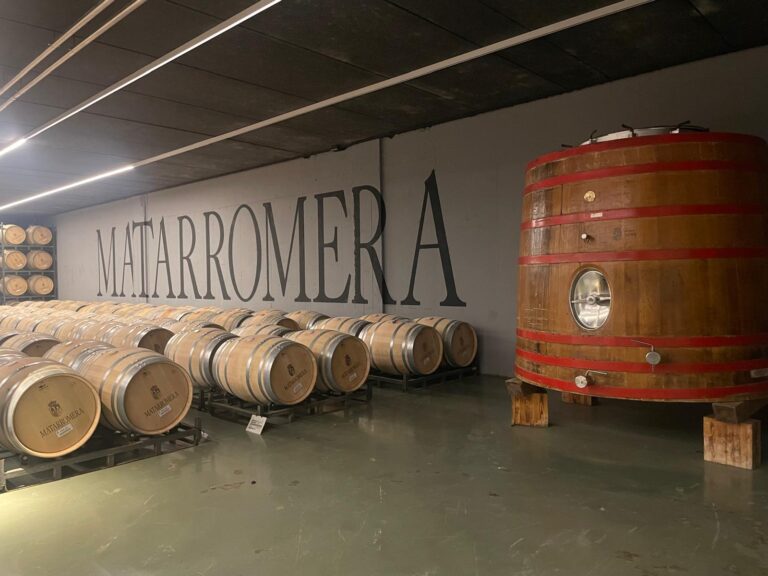 Matarromero