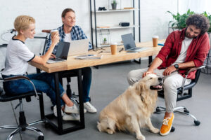 Oficinas pet-friendly