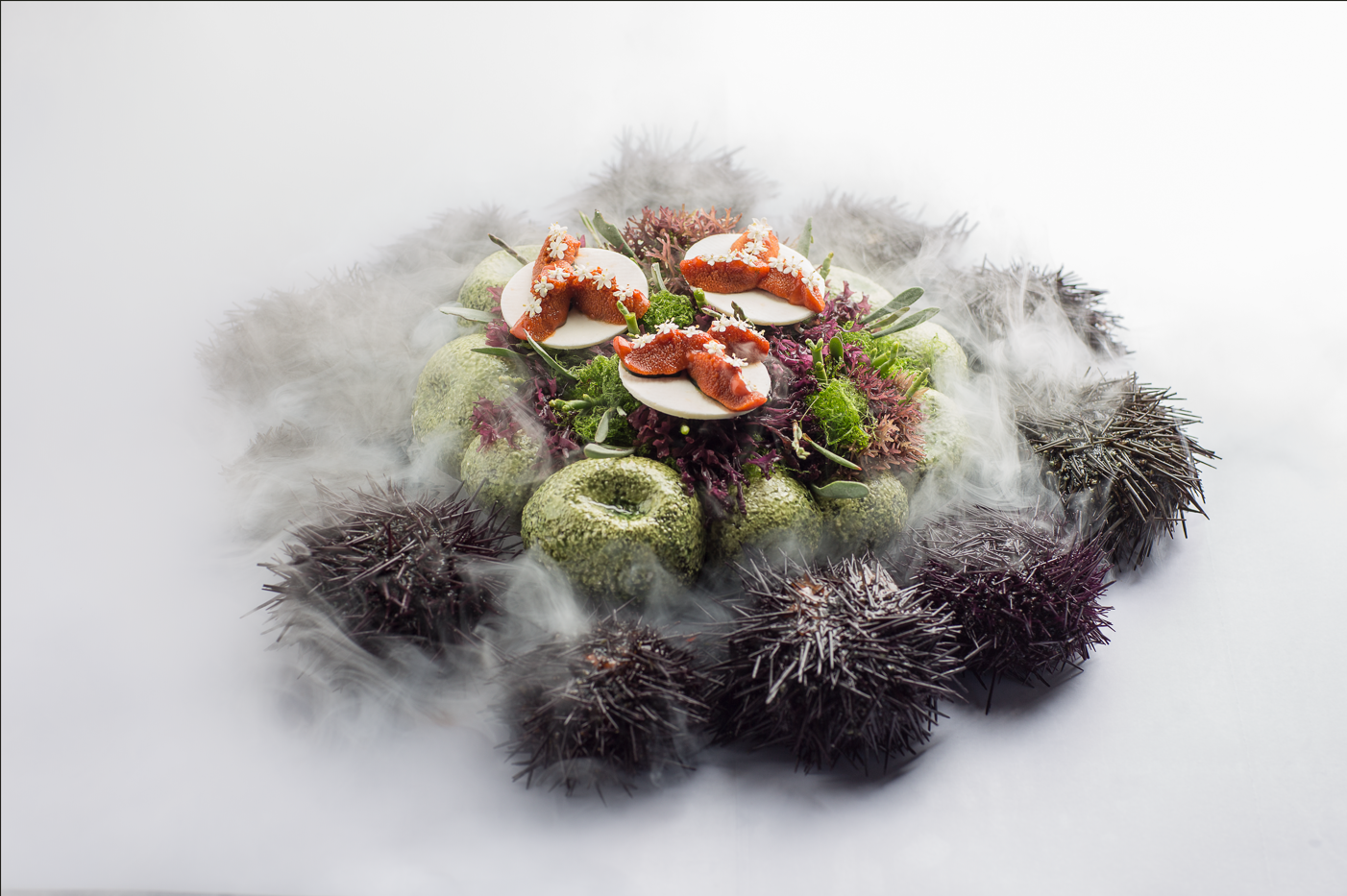Gastronomía: El reino de la sal 1 Aponiente