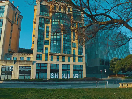 Sngular