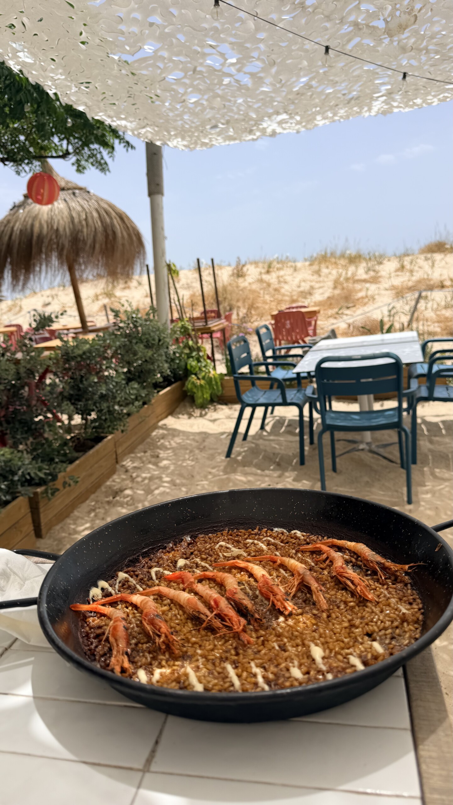 Gastronomía de Clandestino