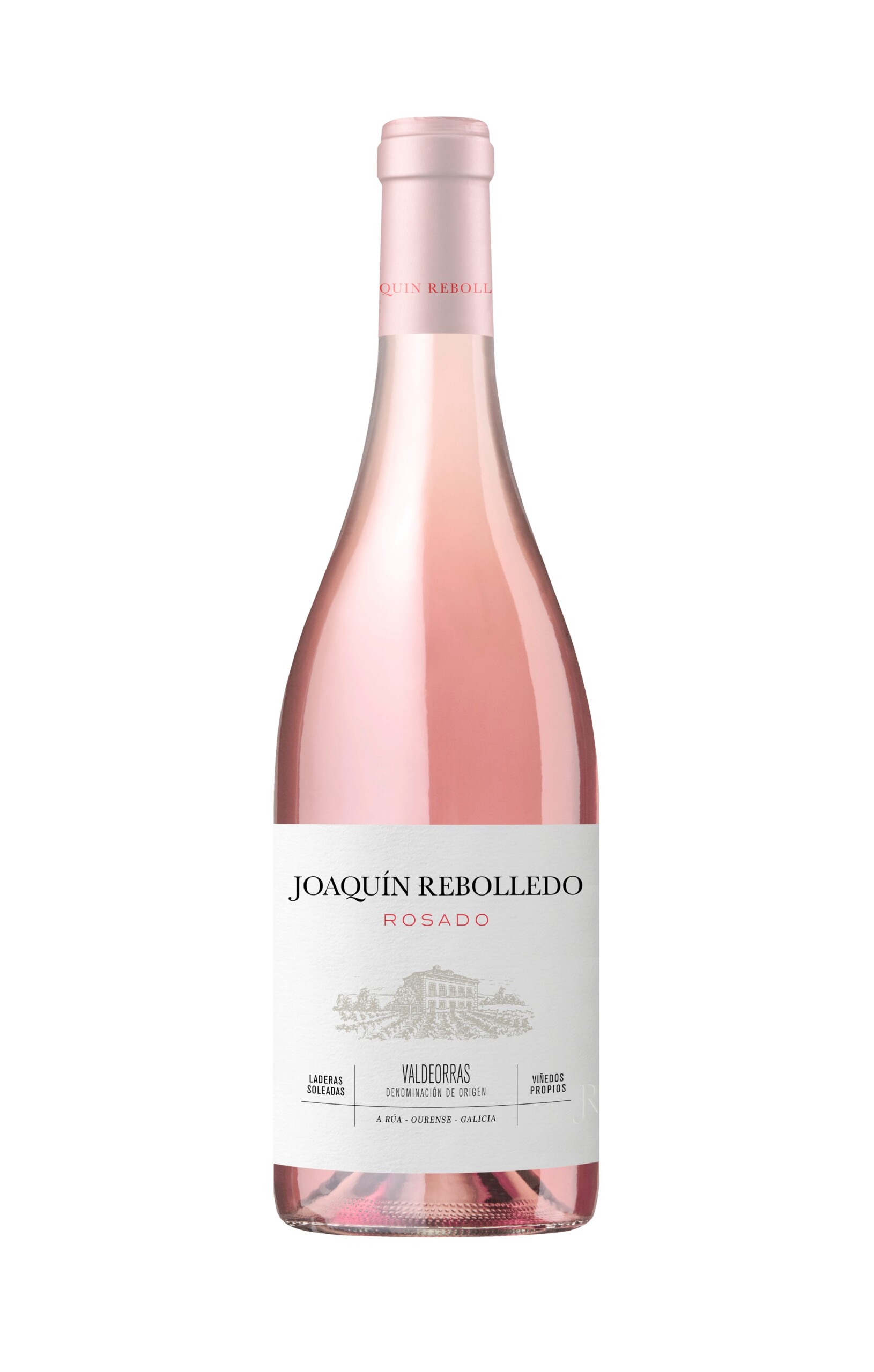 Joaquín Rebolledo Rosado 2025