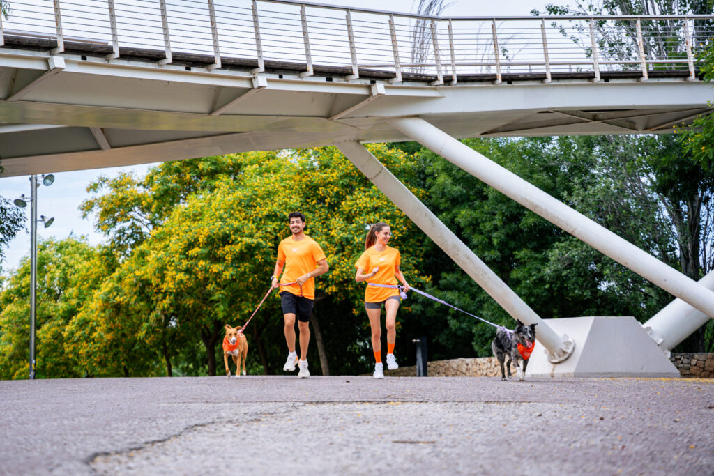 Dogfy Run crece y llega a Valencia 2 Dogfy Run Solidaria