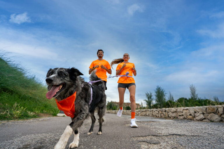Dogfy Run Solidaria